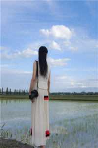 穿书后，她直接摆烂成全恋爱脑继女