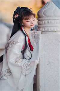 穿越古代成美人，靠生子宠冠后宫