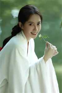 医妃娘娘会透视，陛下要小心！小说