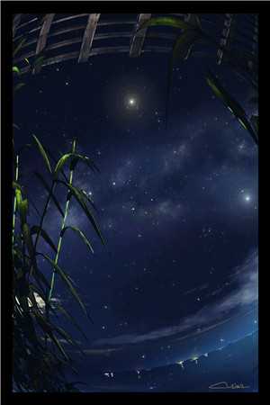新婚夜，阴骘暴君要爬床