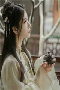 穿越古代成美人,靠生子宠冠后宫小说