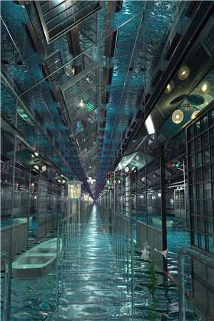 末世生存法则：我零元购全球建军团