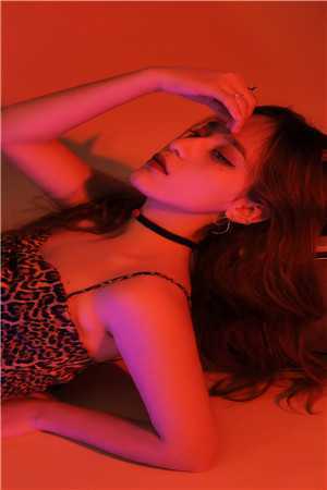 女总裁的贴身高手