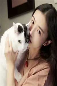 风水龙婿