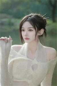 风水龙婿