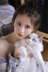 风水龙婿