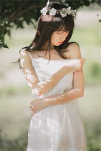 东方灾厄录