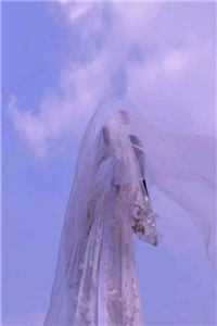 小师妹太虎了，天道贼宠她