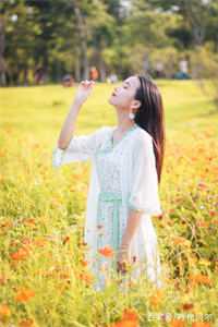 热门免费小说无敌六皇子云铮沈落雁_无敌六皇子(云铮沈落雁)完结版小说