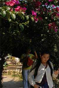 完结好看小说宠妻成瘾：老婆再爱我一次陆景霆季言落_宠妻成瘾：老婆再爱我一次陆景霆季言落免费小说在线阅读