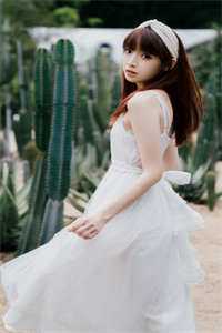 龙门虎婿