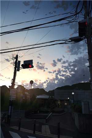 等待白月光