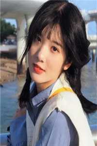 医婿无双