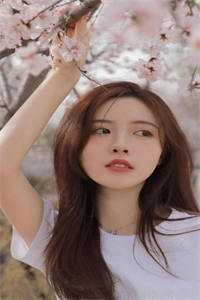春光媚：佛子王爷入红尘