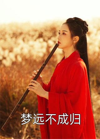 入梦权臣