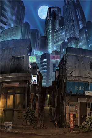 都市医武狂枭