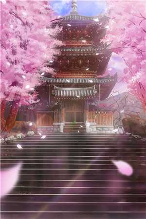 花都枭龙