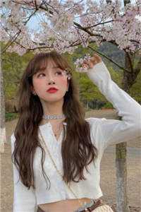 活成前任白月光后，她桃花朵朵开