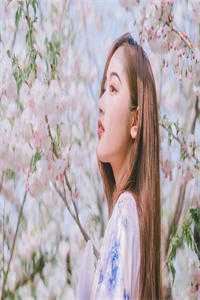 重生嫡女：王妃要和离