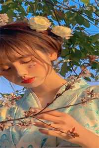 夫人闹离婚，总裁哭着求怜爱梵花似锦