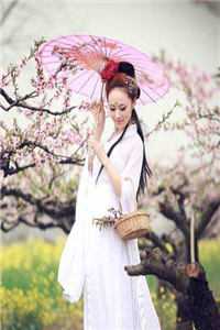 嫡女嫁入王府后，白莲花处处作祟