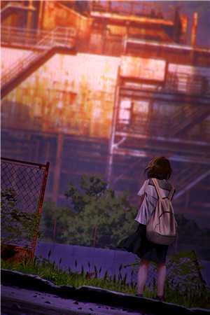 攀宠皎月