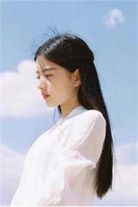 农婿无双