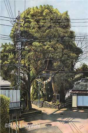 盲人神医