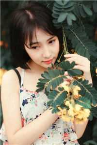 热推小说王云峰林如烟（一纸合同三年狗，合同到期你哭什么热门小说）完整版免费在线阅读_《一纸合同三年狗，合同到期你哭什么热门小说》全集免费阅读
