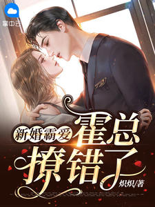 亮剑：我创建了浴火兵团