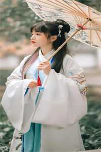 真假天子