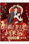 双骑崛起苏白安如画热门完本小说_最新全本小说双骑崛起(苏白安如画)