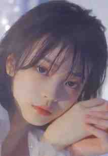 枝繁叶茂