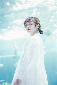 官婿美人香
