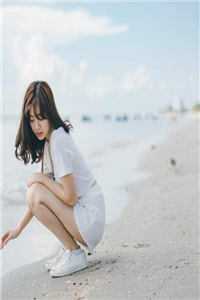 官婿美人香