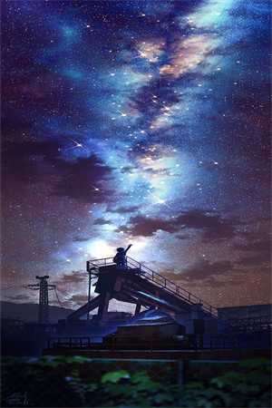 玫瑰不再温柔