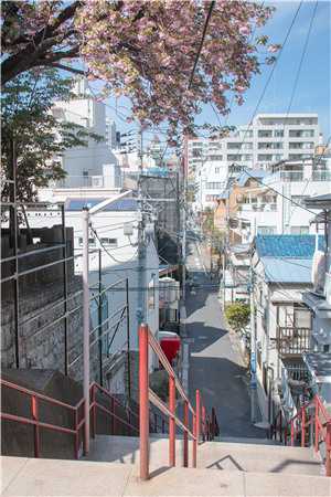 梅子黄时雨宋铭宴孟伊宁完整版小说免费阅读_最新推荐小说梅子黄时雨(宋铭宴孟伊宁)