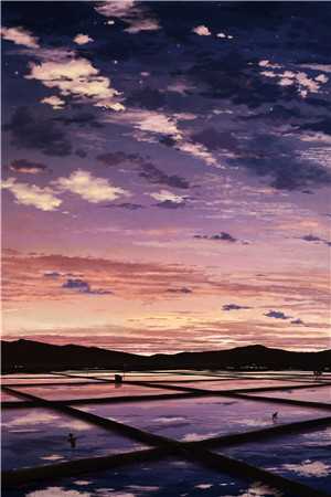 fate：织造命运之夜