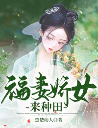 风月昭昭爱未央
