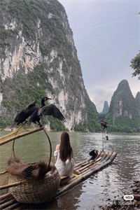 不爱她后，自由如风