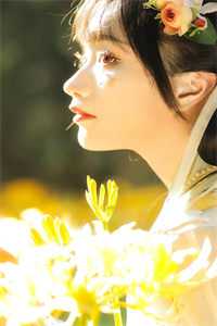 爱意散去(尚鹤淮夏夏)完整版小说免费阅读_小说完结版爱意散去(尚鹤淮夏夏)