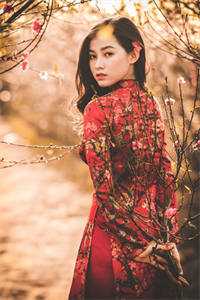 二婚玫瑰