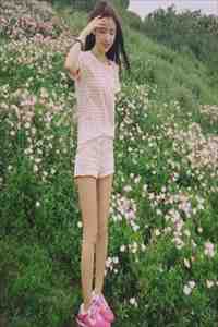 昔去雪如花