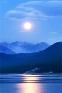一夜逢春，得见青山