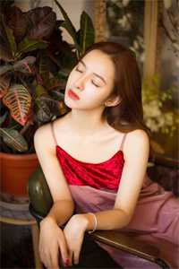 老婆想当女强人，离婚单干后她悔疯了