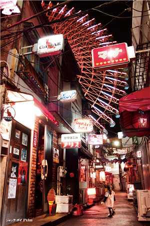 春意错付方知迟