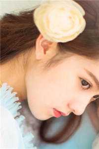 重生回到和女明星结婚前