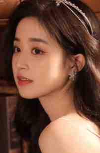 官婿美人香