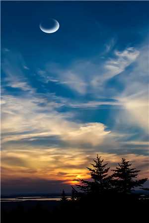 团宠小青梅，山匪大佬们藏不住了