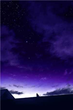 惟愿星海不相逢